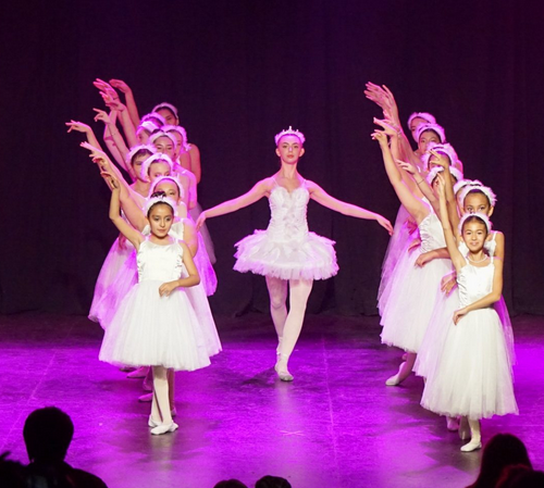 Zapala conmemora el Día Internacional de la Danza con espectáculos para niños y adultos