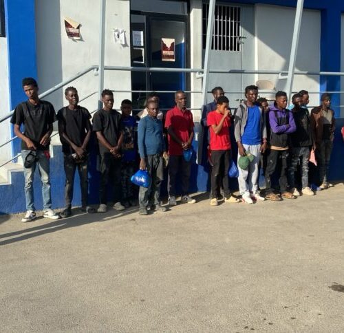 Ejército dominicano detiene a 38 haitianos indocumentados con drones