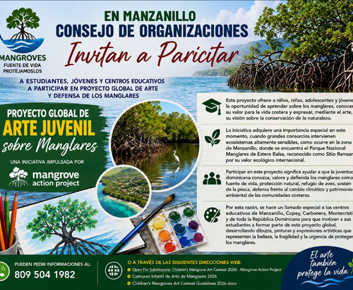 Convocan a escuelas dominicanas a concurso internacional de arte infantil sobre manglares desde Manzanillo