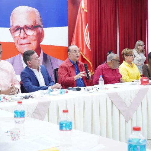 Reformistas escogerán nuevas autoridades en su convención nacional del 24 de octubre
