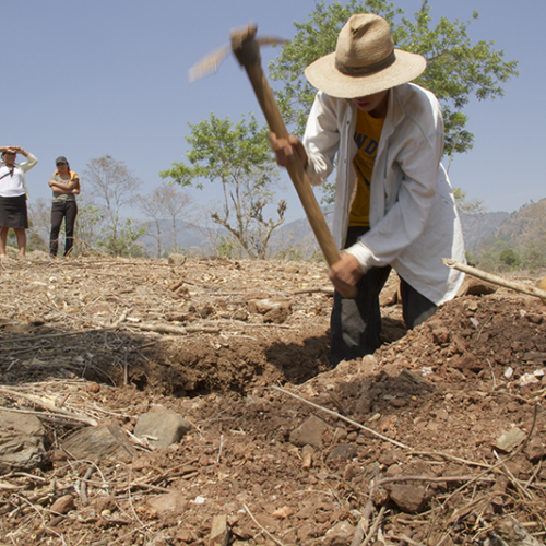Santo Domingo tendrá un sábado de cielos despejados y calor intenso