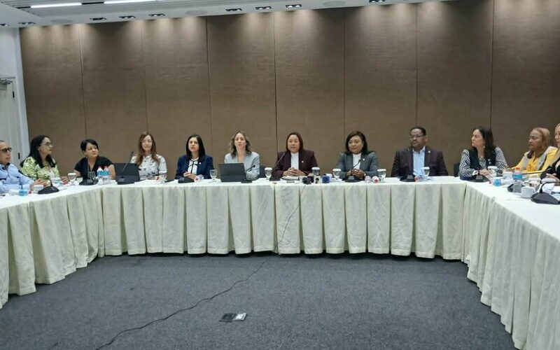 Congreso y Ministerio de la Mujer unifican 19 proyectos para crear la Ley Mirabal contra la violencia de género
